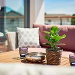In Mit Grosser Sauna By Interhome Vakantiehuis *