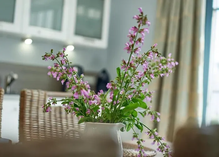 In Mit Grosser Sauna By Interhome Sellin (Rugen)